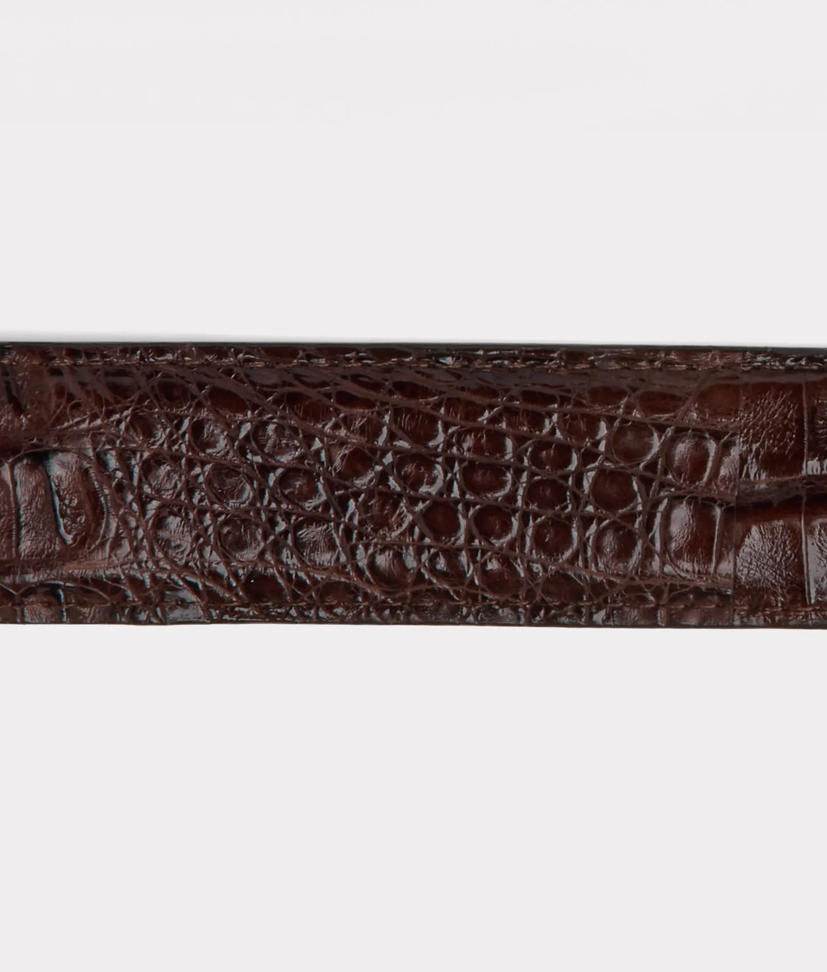 Buster Belt :: Chocolate