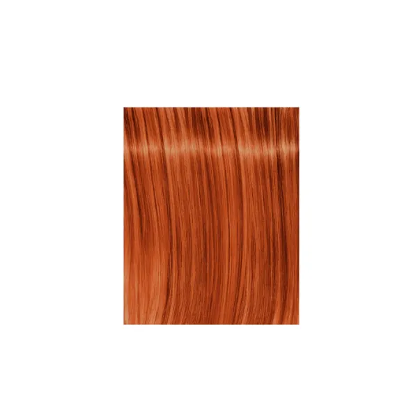 Coloration permanente Igora Royal Fashion Lights