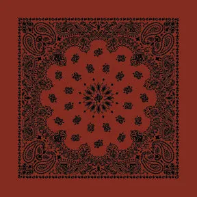 CONTEMPORARY PAISLEY 22 INCH BANDANNAS - MADE IN THE USA - AS LOW AS $1.17 EACH*