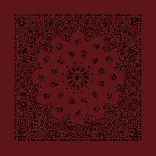 CONTEMPORARY PAISLEY 22 INCH BANDANNAS - MADE IN THE USA - AS LOW AS $1.17 EACH*