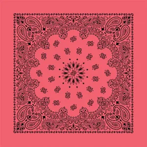 CONTEMPORARY PAISLEY 22 INCH BANDANNAS - MADE IN THE USA - AS LOW AS $1.17 EACH*