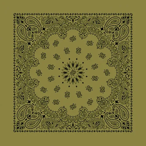 CONTEMPORARY PAISLEY 22 INCH BANDANNAS - MADE IN THE USA - AS LOW AS $1.17 EACH*