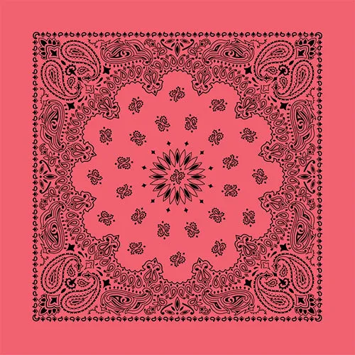 CONTEMPORARY PAISLEY 22 INCH BANDANNAS - MADE IN THE USA - AS LOW AS $1.17 EACH*