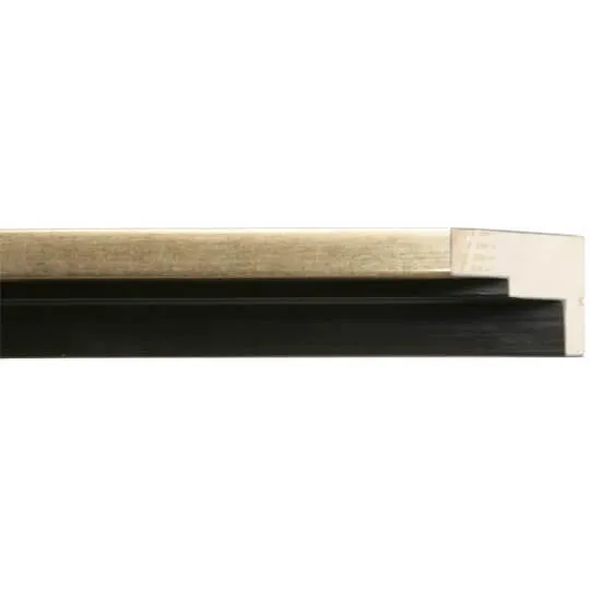 Contemporary Zebra III