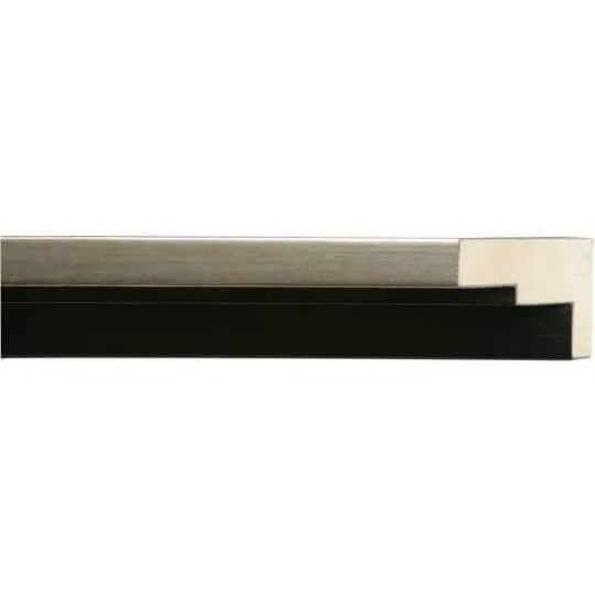 Contemporary Zebra III