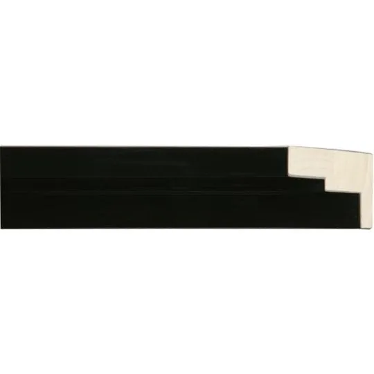 Contemporary Zebra III