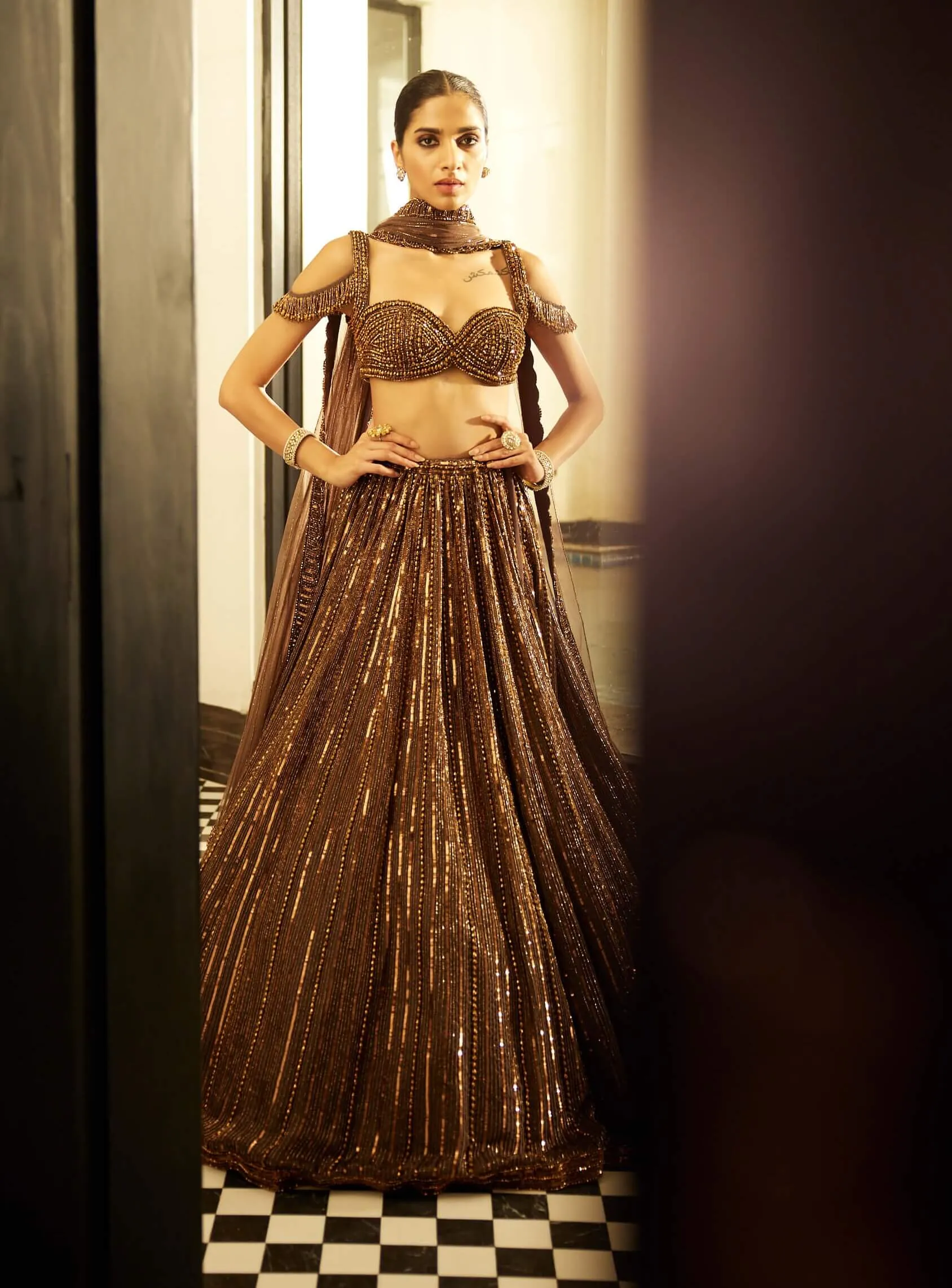 Copper crystal linear embroidered lehenga set