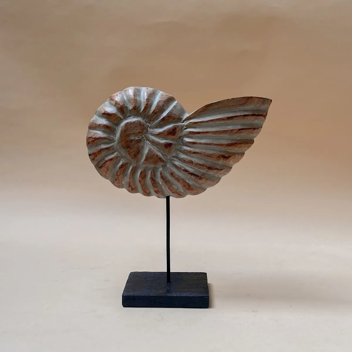 Edit House & Home-Home Artisan Serena Nautical Shell Wooden Sculpture