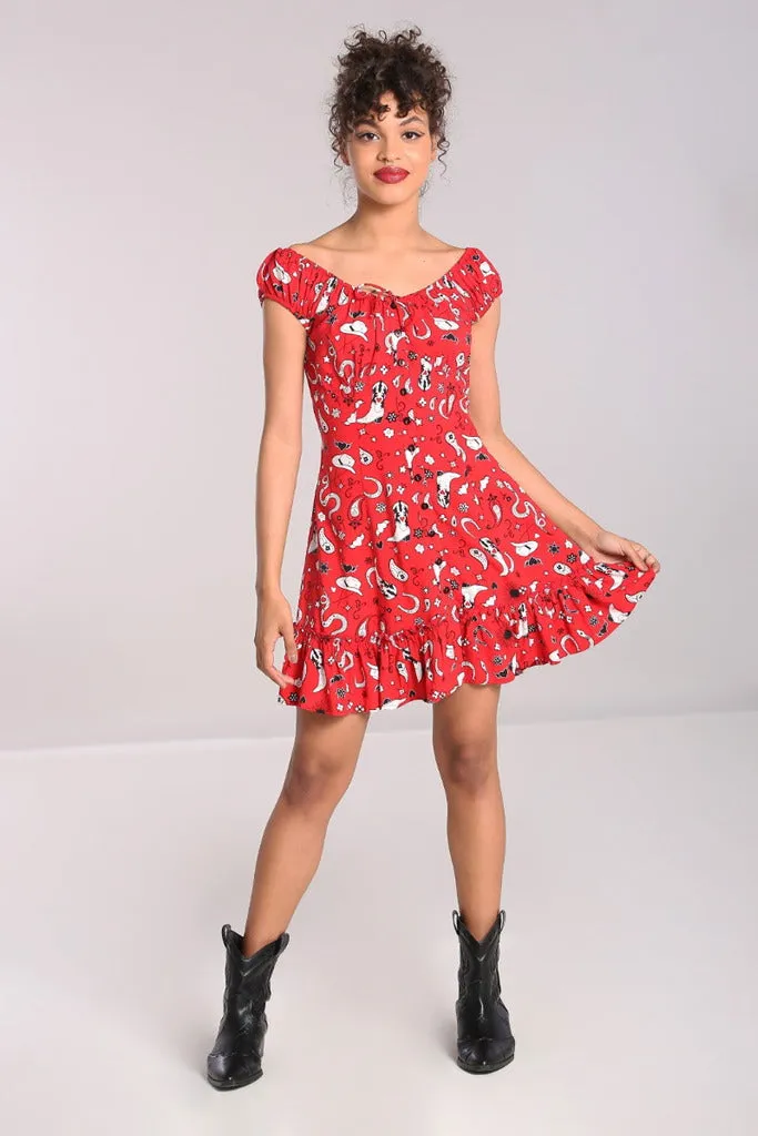 Emmylou Cowgirl Mini Dress