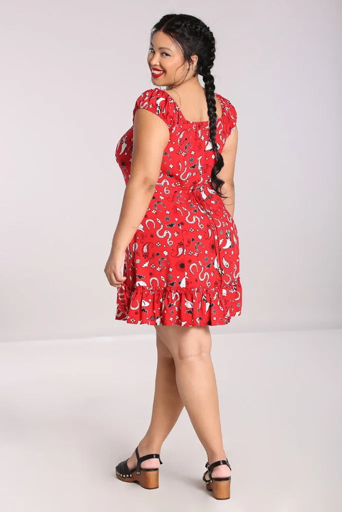 Emmylou Cowgirl Mini Dress