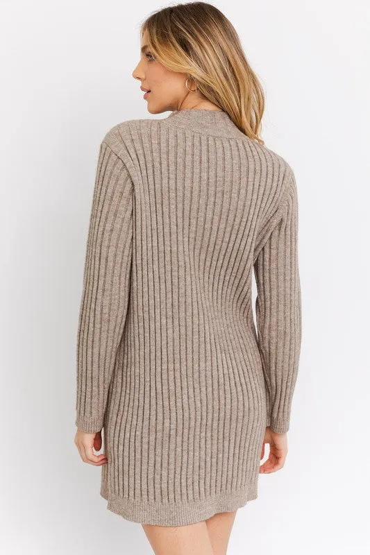 Gilli Turtle Neck Sweater Dress
