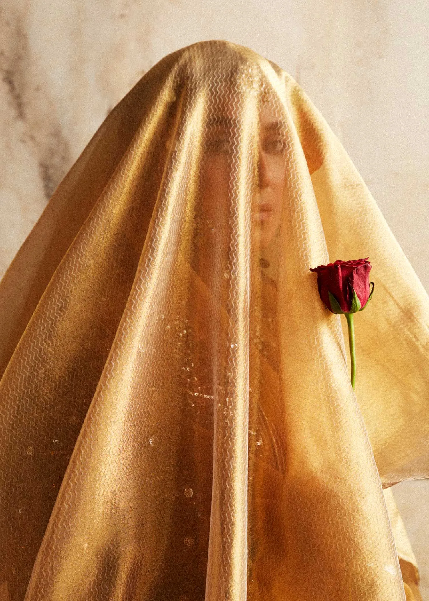 HUSSAIN REHAR - Luxury Festive FW/24 | ZAREENA