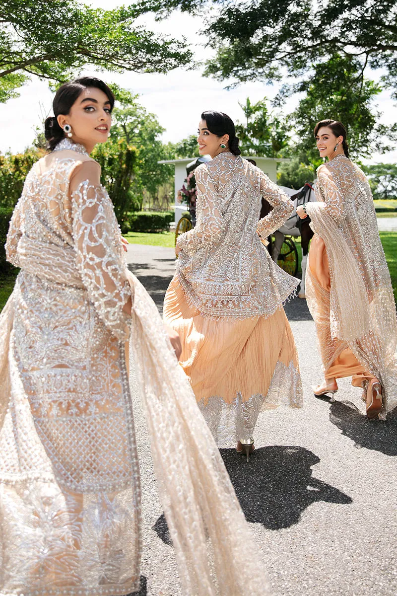 Isabelle TDL22-01 | Mushq Serendipity Trousseau De Luxe 2022 Luxury Wedding Collection | Embroidered Net Suits