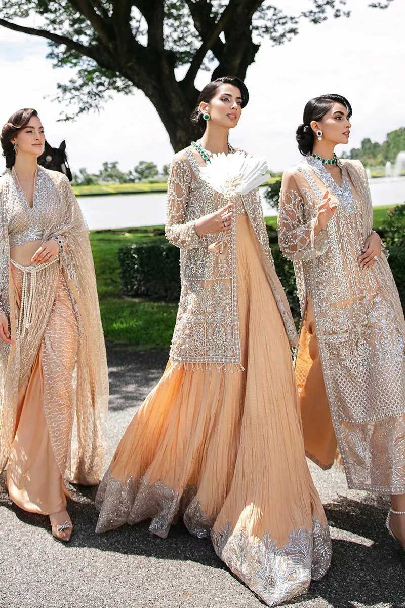 Isabelle TDL22-01 | Mushq Serendipity Trousseau De Luxe 2022 Luxury Wedding Collection | Embroidered Net Suits