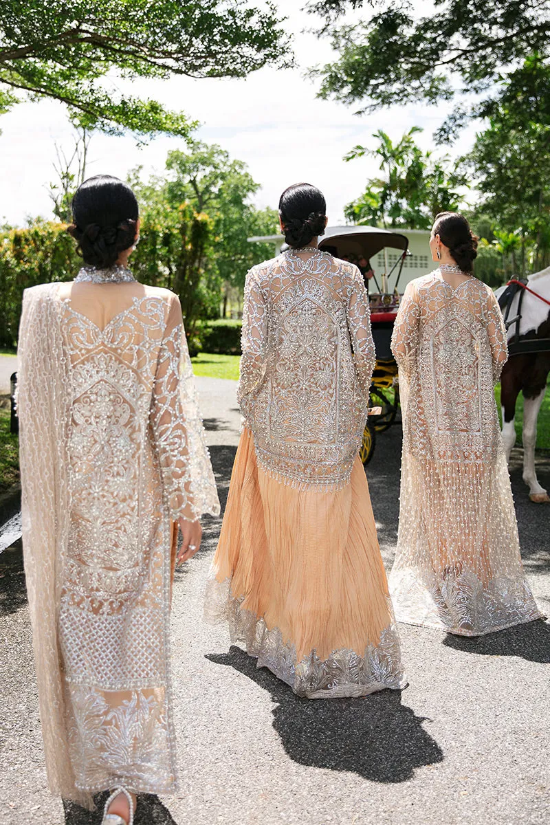 Isabelle TDL22-01 | Mushq Serendipity Trousseau De Luxe 2022 Luxury Wedding Collection | Embroidered Net Suits