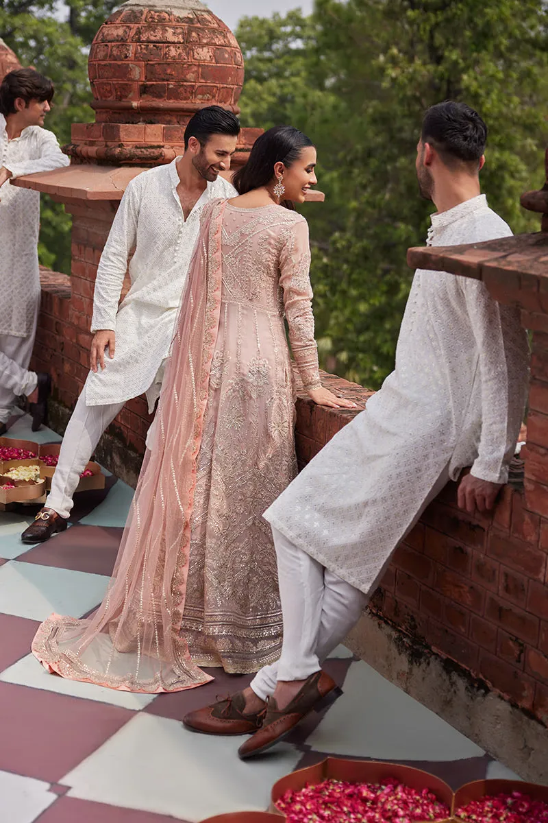 MUSHQ | IZHAR - Luxury Chiffon Collection'23 |  TANEEZ