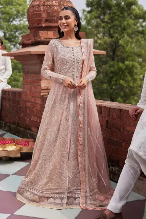 MUSHQ | IZHAR - Luxury Chiffon Collection'23 |  TANEEZ