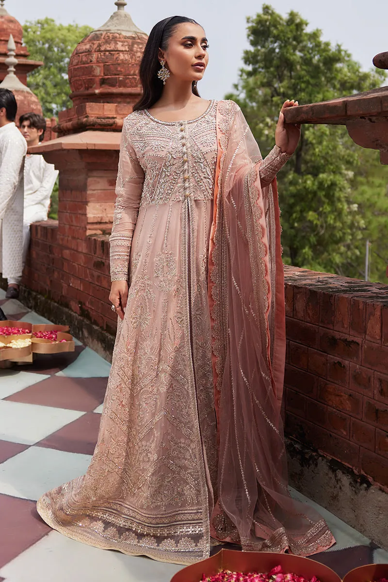 MUSHQ | IZHAR - Luxury Chiffon Collection'23 |  TANEEZ