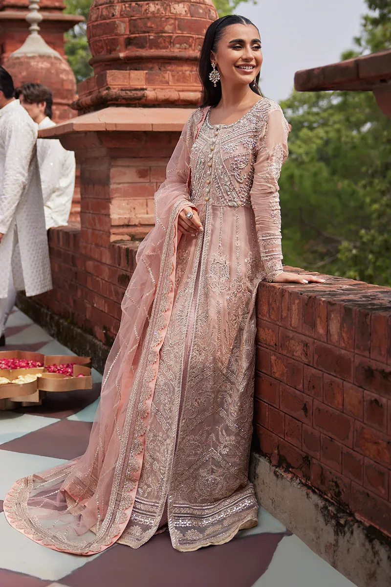 MUSHQ | IZHAR - Luxury Chiffon Collection'23 |  TANEEZ