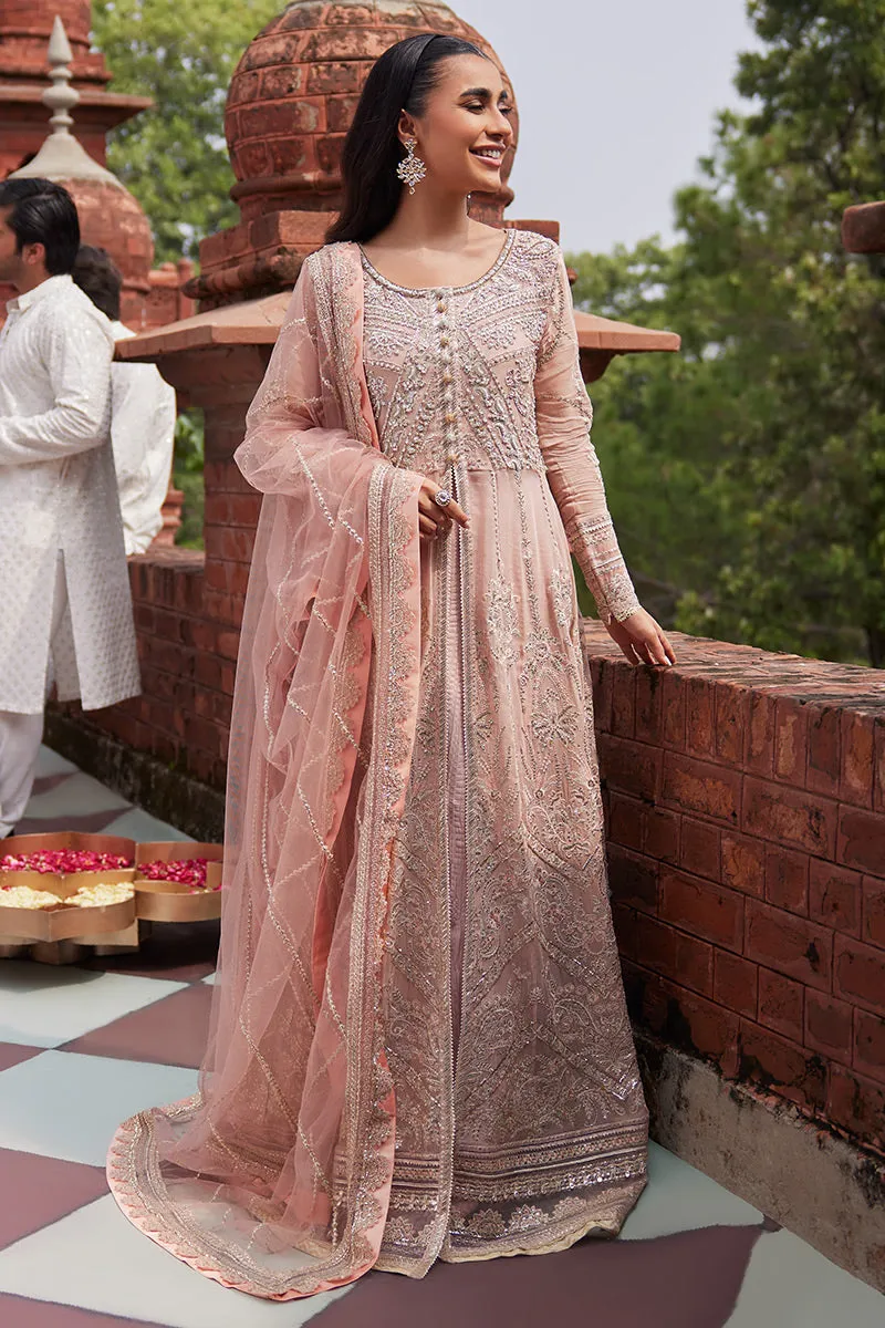 MUSHQ | IZHAR - Luxury Chiffon Collection'23 |  TANEEZ