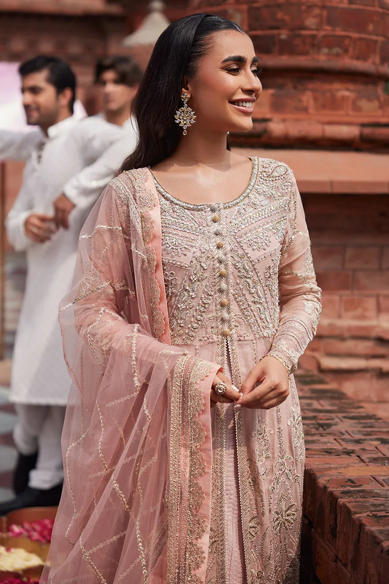 MUSHQ | IZHAR - Luxury Chiffon Collection'23 |  TANEEZ