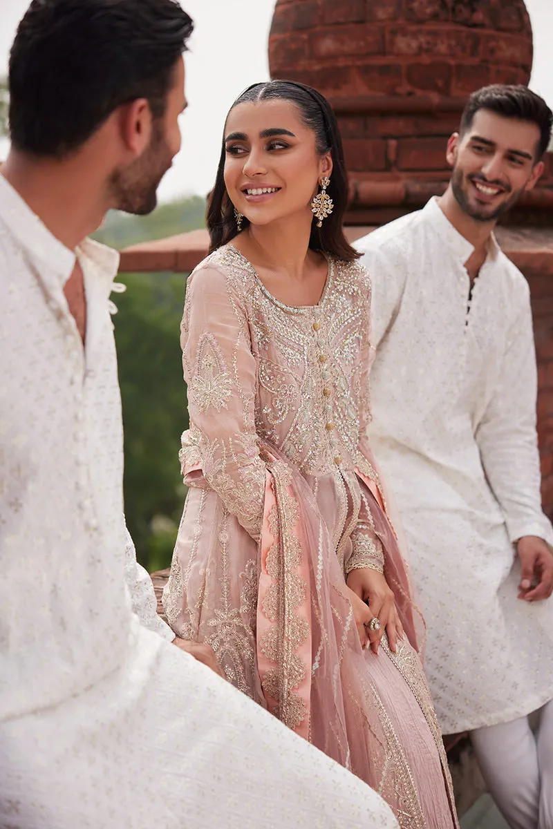 MUSHQ | IZHAR - Luxury Chiffon Collection'23 |  TANEEZ