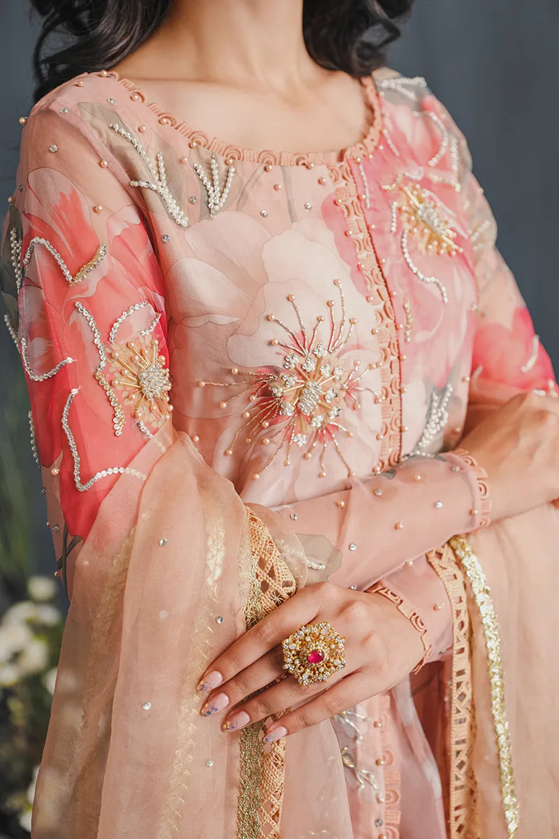 MUSHQ | LUXURY PRET PRINTED ORGANZA'23 | MALIBU