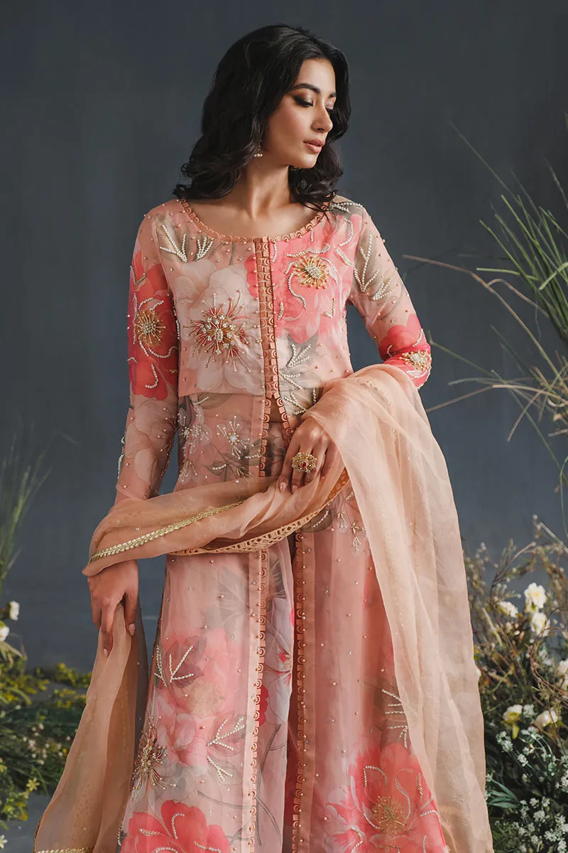 MUSHQ | LUXURY PRET PRINTED ORGANZA'23 | MALIBU