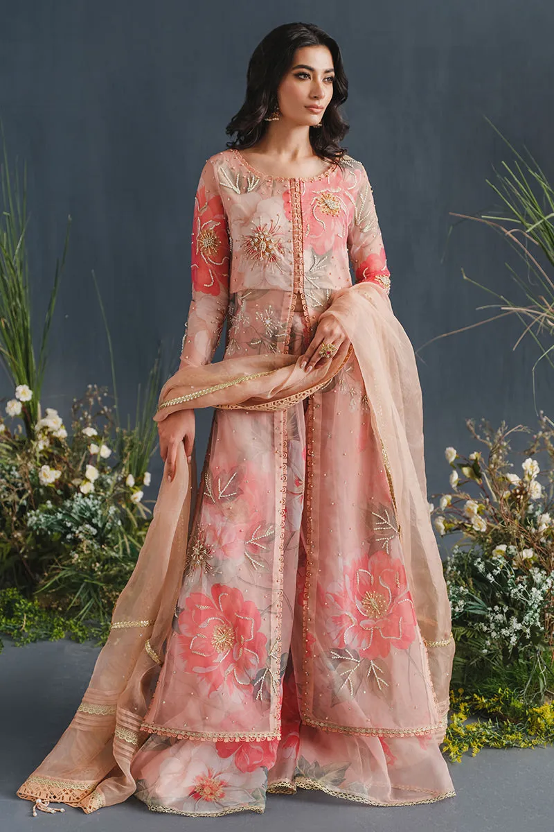 MUSHQ | LUXURY PRET PRINTED ORGANZA'23 | MALIBU