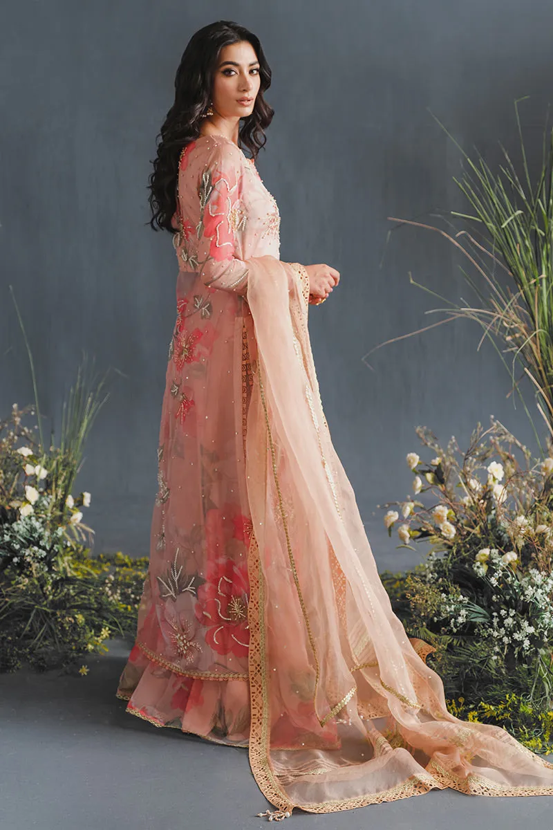 MUSHQ | LUXURY PRET PRINTED ORGANZA'23 | MALIBU