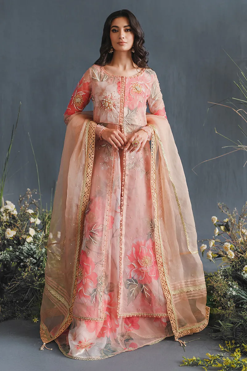 MUSHQ | LUXURY PRET PRINTED ORGANZA'23 | MALIBU