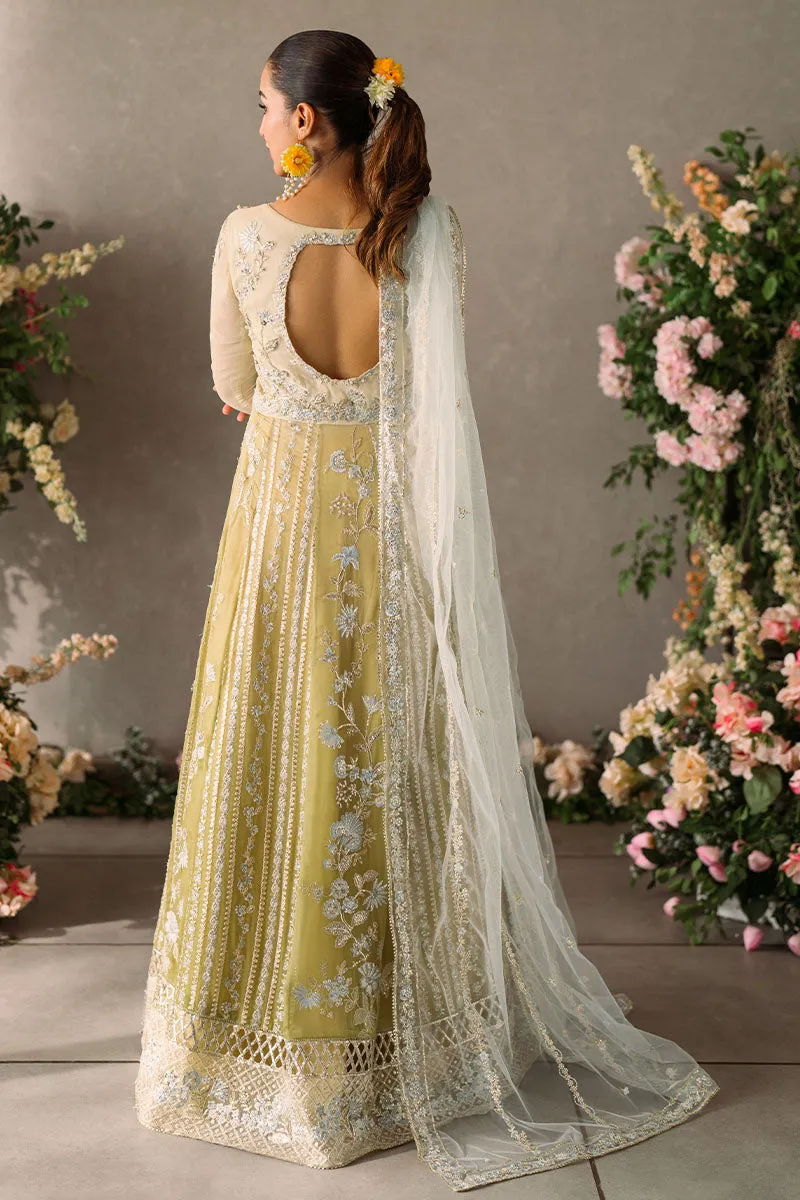 MUSHQ | Mastani Evening Luxury Chiffon Collection | HIRA