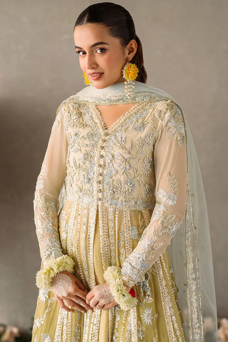 MUSHQ | Mastani Evening Luxury Chiffon Collection | HIRA