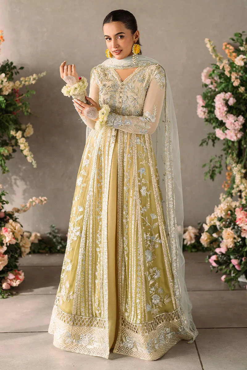 MUSHQ | Mastani Evening Luxury Chiffon Collection | HIRA