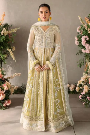 MUSHQ | Mastani Evening Luxury Chiffon Collection | HIRA