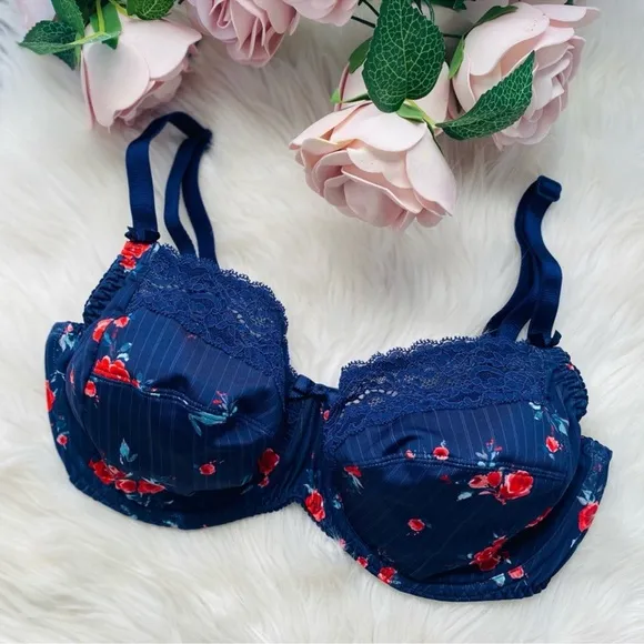 *NWOT ANTINÉA BY LISE CHARMEL Luxury Blue Floral Cherry Lace Bra Size 34DD