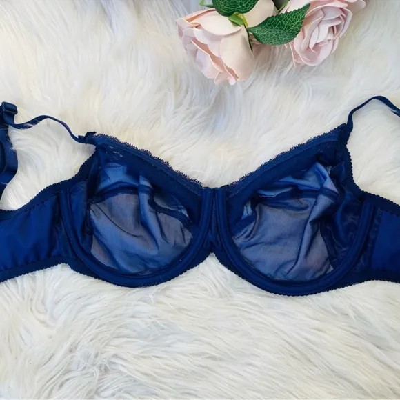 *NWOT ANTINÉA BY LISE CHARMEL Luxury Blue Floral Cherry Lace Bra Size 34DD