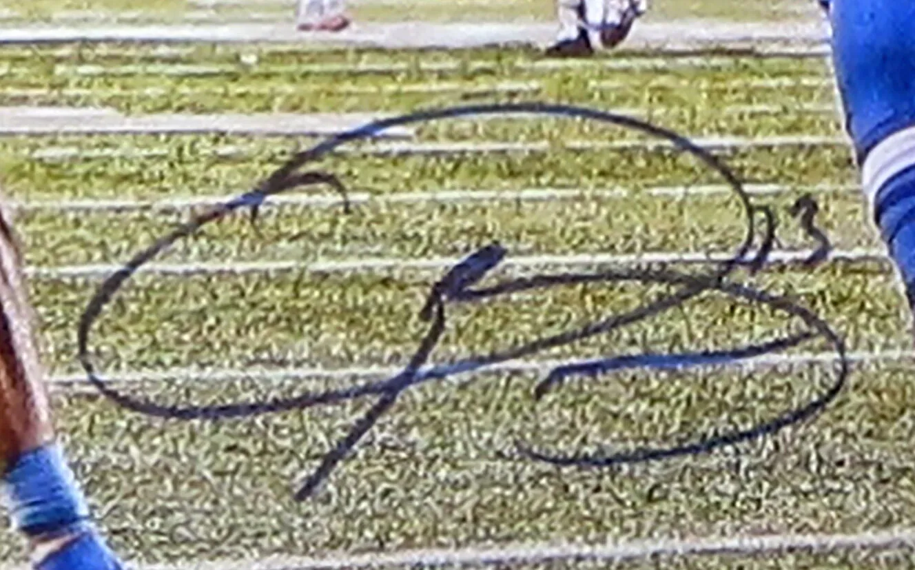 Odell Beckham Jr. Signed Metallic Paper 20 x 24 Photograph Steiner LE 13/113