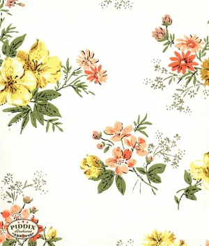 PDXC8024 -- Mid-Century Patterns