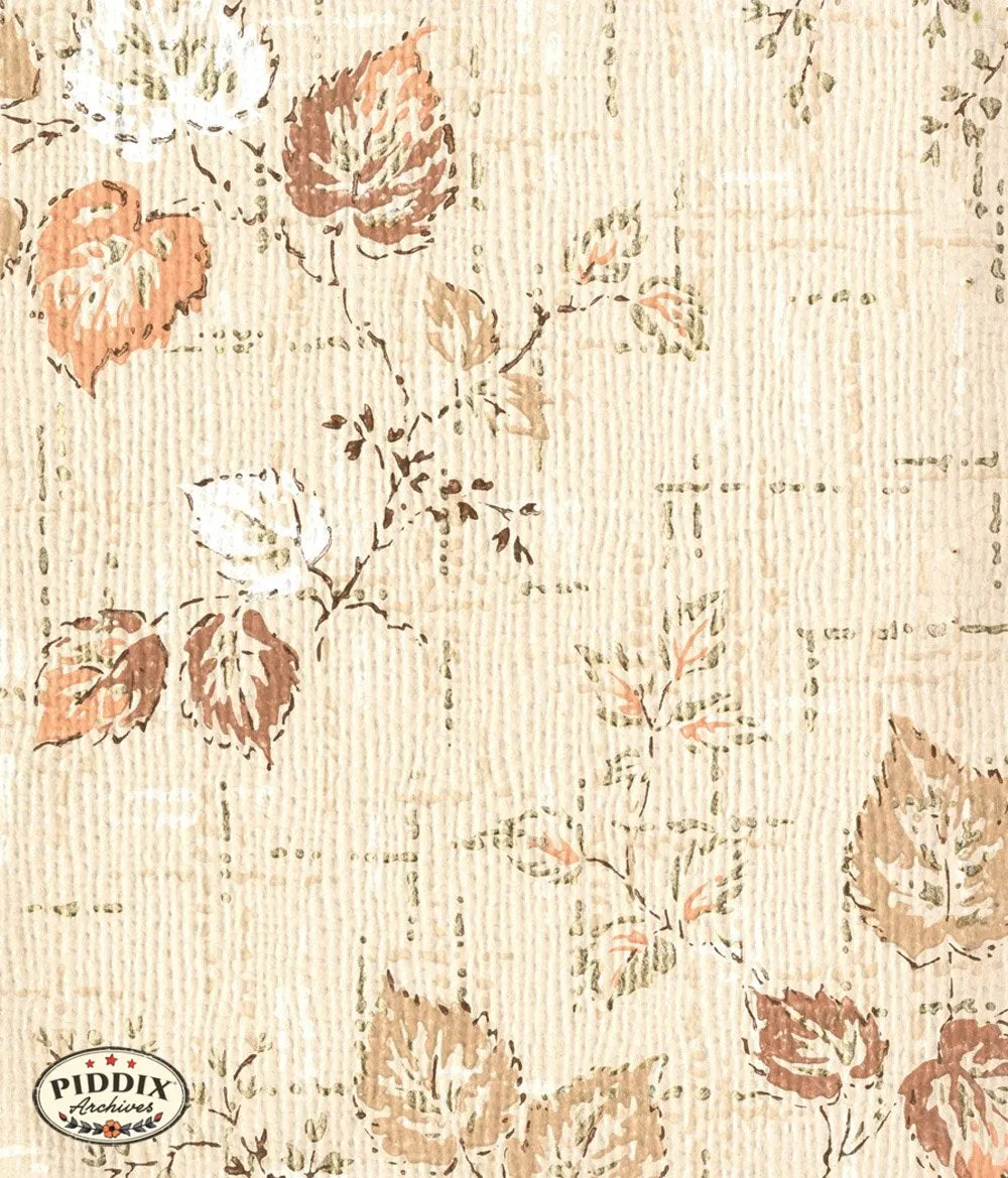 PDXC8037 -- Mid-Century Patterns
