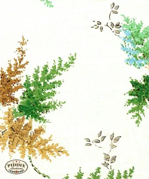 PDXC8074 -- Mid-Century Patterns