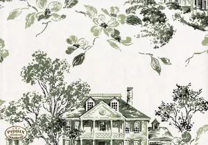 PDXC8998 -- Mid-Century Patterns