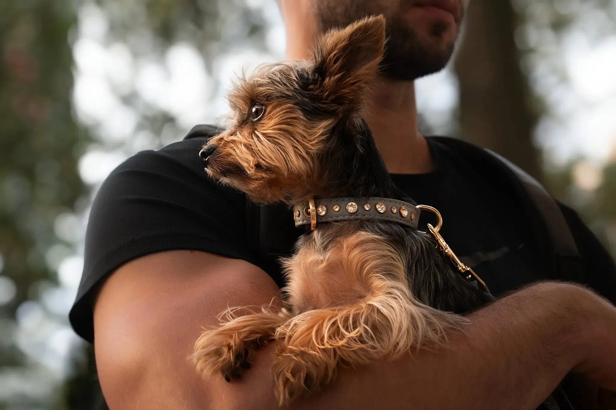 Piñatex® Vegan Leather Rhinestone Collar | Grey Luxury