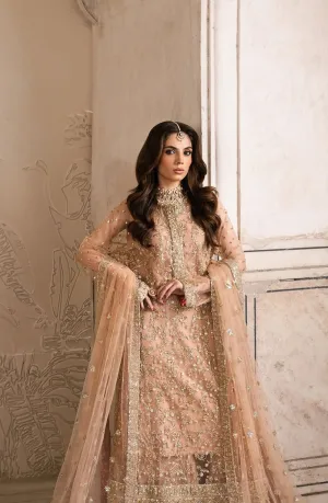 RACHANA - MS40006