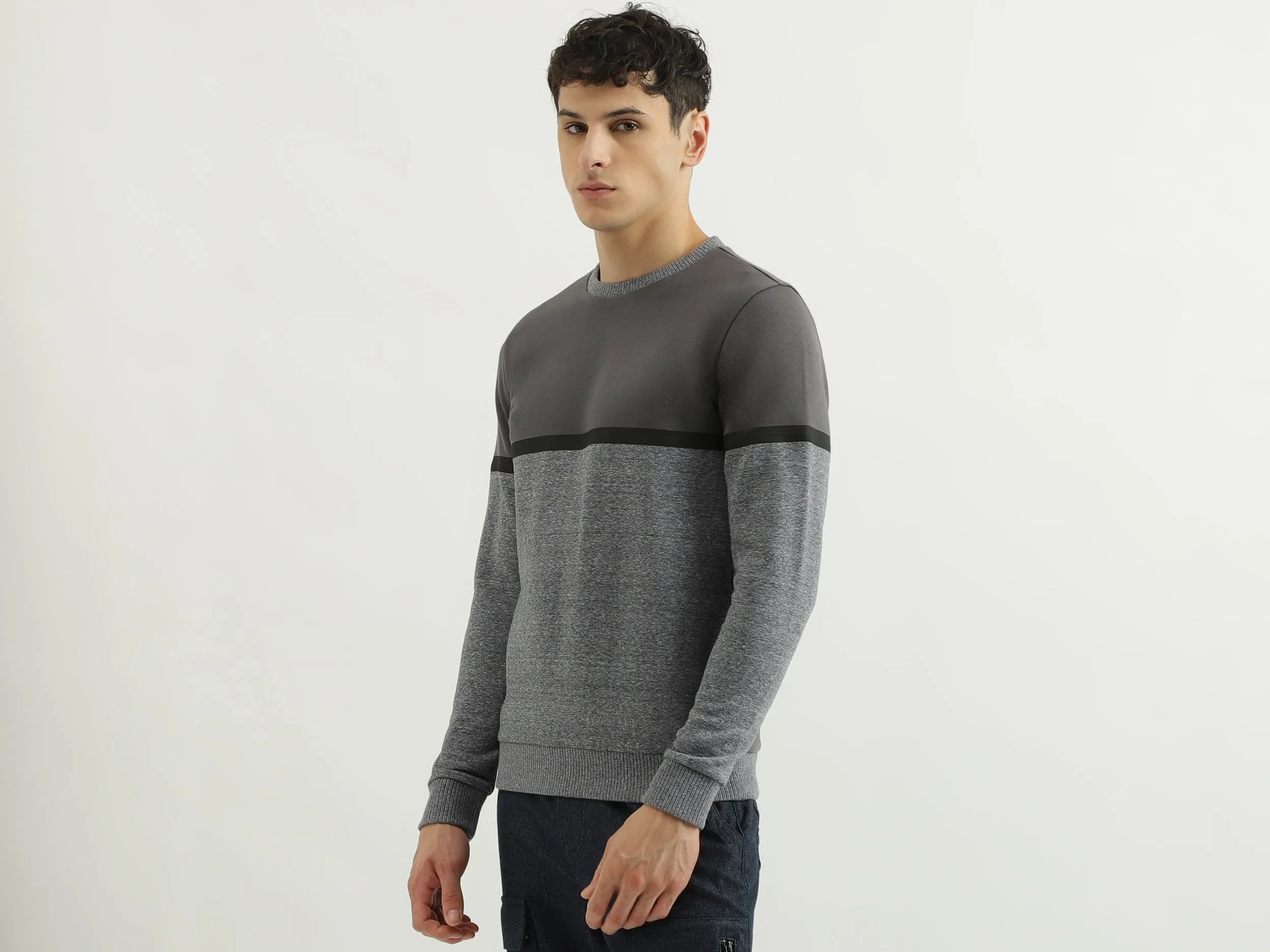 Regular Fit Round Neck Color Block Sweatshirt