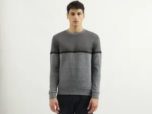 Regular Fit Round Neck Color Block Sweatshirt